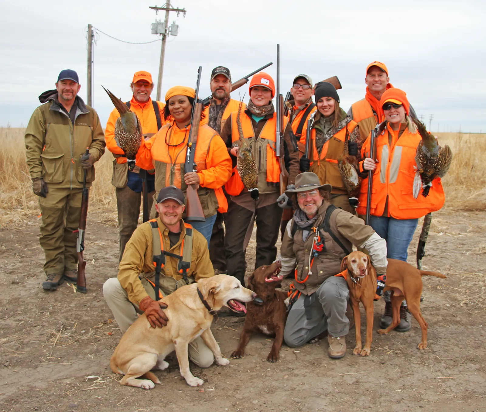 En Côte-d'Or, le Challenge Chasseurs de France 2026 célèbre la chasse au chien en harmonie avec la nature