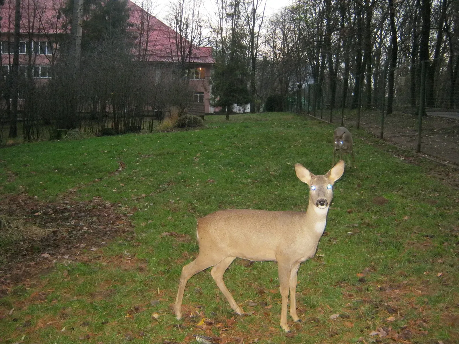 En Drôme, les chasseurs de la FDC26 deviennent ambassadeurs du don d'organes