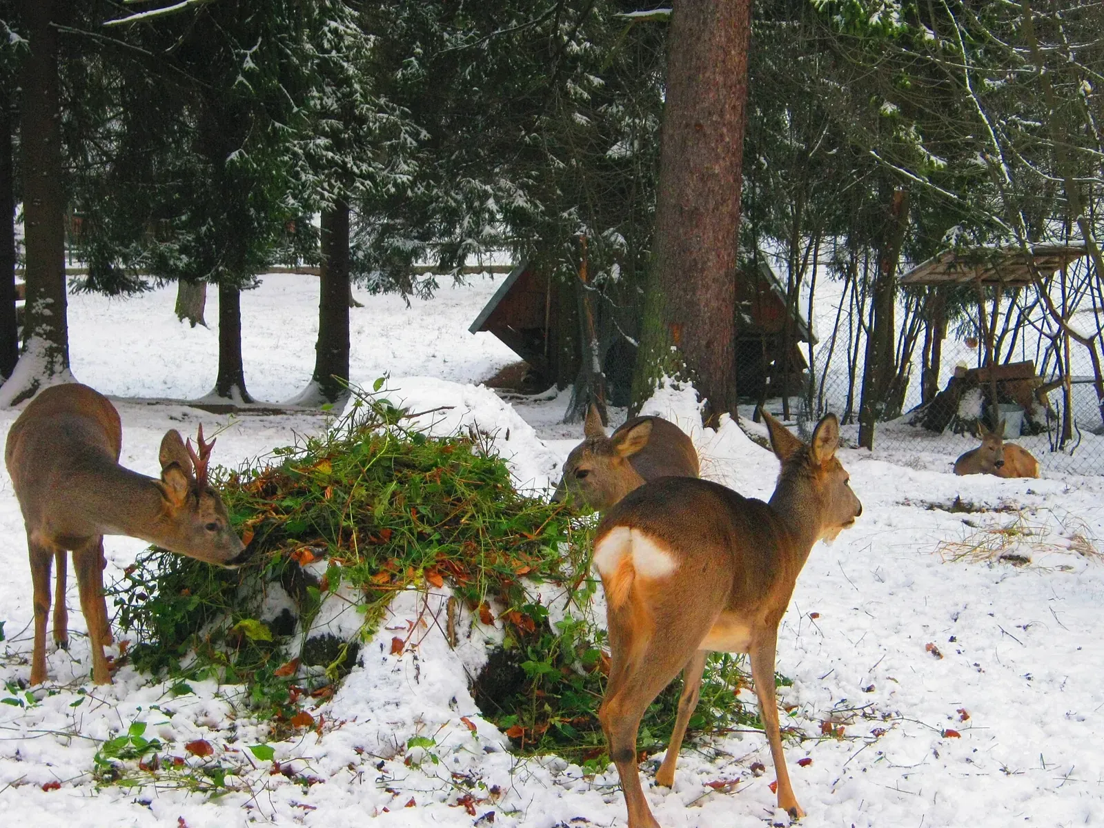 Dans l'Eure, les chasseurs se mobilisent pour le Challenge National Chasseurs de France 2026